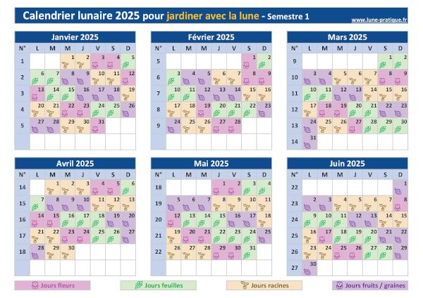 Calendrier lunaire 2025 pour jardiner avec la lune - Semestre 1