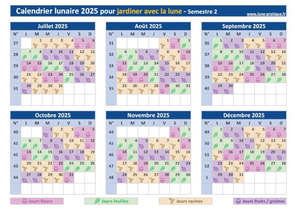 Calendrier lunaire 2025 pour jardiner avec la lune - Semestre 2